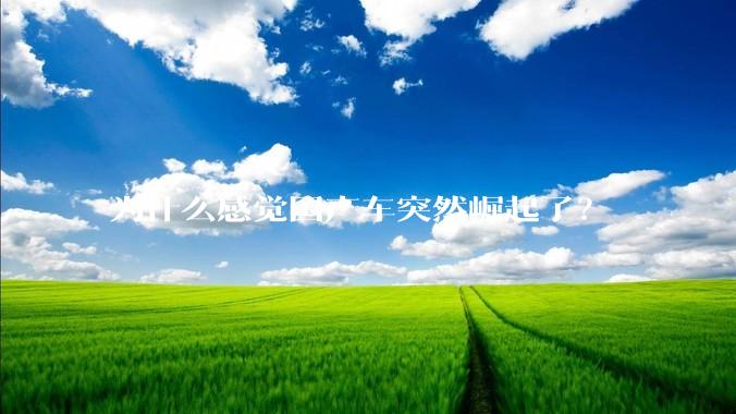 为什么感觉国产车突然崛起了？