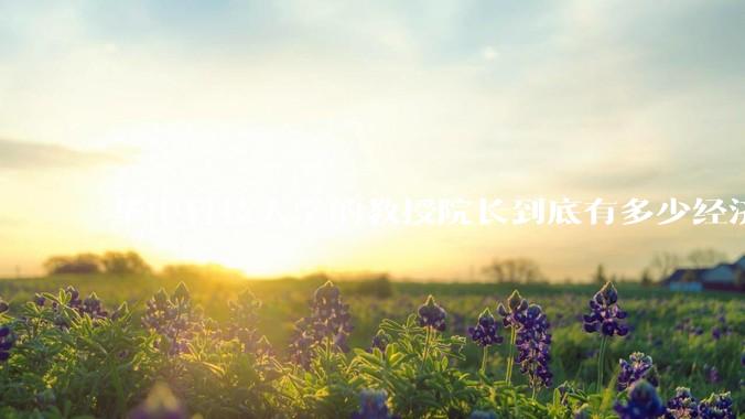 华中科技大学的教授院长到底有多少经济收入多少套房产？