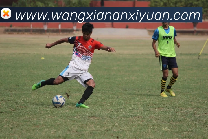 九游体育app官方首页发展历程